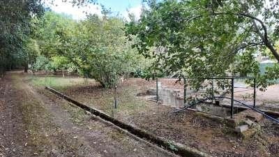 Satılık İlan Çekmeköy 8381